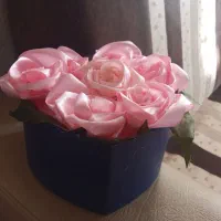 گل رز هفت عدد