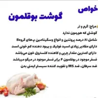 بوقلمون ارگانیک|حیوانات مزرعه|آباده, |دیوار