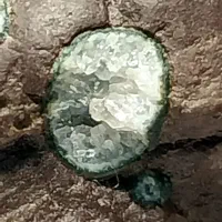 شهاب سنگ|کلکسیون اشیاء عتیقه|مینودشت, |دیوار