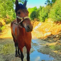 مادیون فروشی