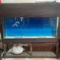 قیمت مناسب و سالم