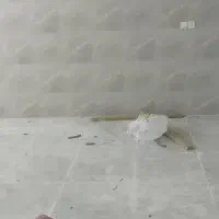 مغازه نوساز بلوار اتحاد(اقبال آباد)|فروش مغازه و غرفه|شیراز, شهرک کوشکک|دیوار