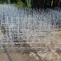 شاخ گوزنی ، حفاظ روی دیوار