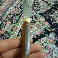 چاقو تاشو|کلکسیون اشیاء عتیقه|قم, شاه ابراهیم|دیوار