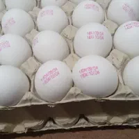 3 شانه تخم مرغ 600 هزار تومان