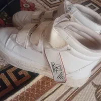 صندل|کیف، کفش، کمربند|یزد, |دیوار