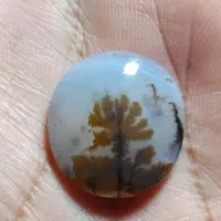 نگین شجر قائن درجه یک وآس