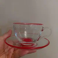 فنجان و نعلبکی پاشاباغچه