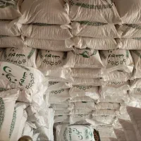 برنج ایرانی مرغوب شمال .لنجان.عنبر بو قیمت عمده