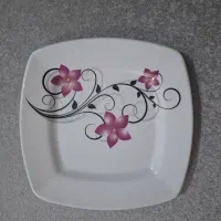 سرویس ملامین