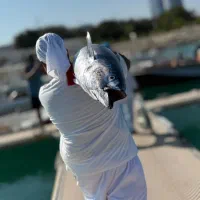 ماهیگیری حرفهای (کیش)|ماهیگیری|کیش, |دیوار