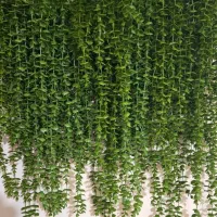 آویزشمشادباکیفیت وپرکاربرد