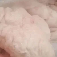 دنبه گوسفندی تازه