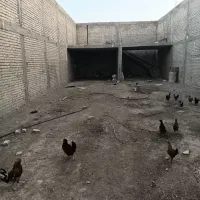 سوله بدون سقف در کرونی 250متری|اجارهٔ دفتر صنعتی، کشاورزی، تجاری|شیراز, جمال آباد|دیوار