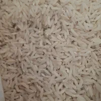 برنج طارم هاشمی