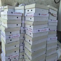 کارتن جهت بسته بندی