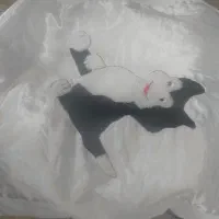 زیر انداز و پتو نوزاد