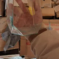 ماهی‌ قرمز‌|ماهی|اسفراین, |دیوار