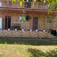 اجاره-سالانه-ویلاجنگلی-در-محیط-خلوت