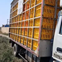 اتاق مرغی۲۲۴قفسی|قطعات یدکی و لوازم جانبی|گرگان, |دیوار