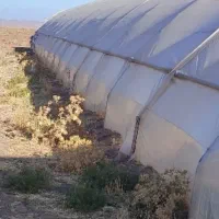 گلخانه|ماشینآلات صنعتی|فیروزه, |دیوار