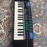 ارگ CASIO SA-21