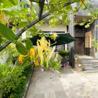 ویلا نقلی مبله با بودجه کم ' سنددار / اقساط ۲ ساله