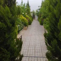 پخش درخت ودرختچه زینتی|خدمات باغبانی و درختکاری|شیراز, گویم|دیوار