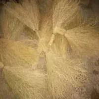 گسک.. جارومحلی..