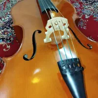 ویلونسلtF استیودنتی