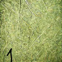 یونجه درجه یک خرگوش به شرط