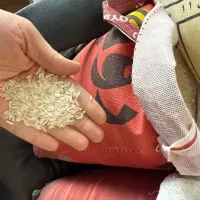 برنج پاکستانی رویال قرمز