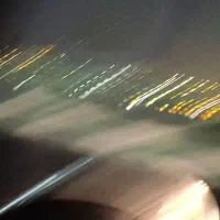 غذای خانگی پت