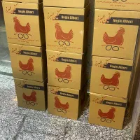 پخش تخم مرغ عمده