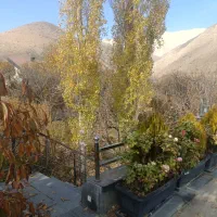 کارگر ساده رستوران