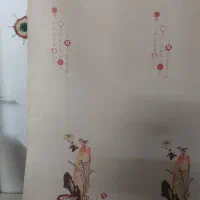 یک جفت پرده زبرای خارجی