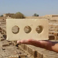 تولید اجرسه گل زرد