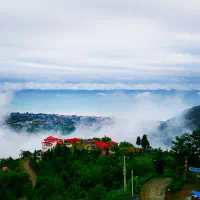 به یک نیروی جوان و مجرد نیازمندم
