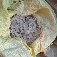 گیره ی بوته|ابزارآلات|اصفهان, بهاران|دیوار