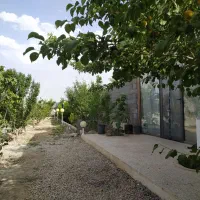 فروش باغ 500متری علیشاهدان|فروش خانه و ویلا|پیر بکران, |دیوار