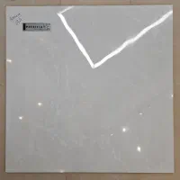 فروش عمده سرامیک نانوپولیش 100×100