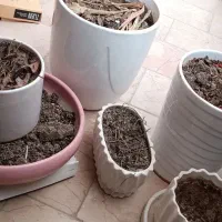 گلدان سرامیکی