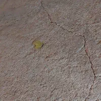 فروش زمین کشاورزی