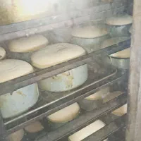 فر ۱۲ دیس گردان شیرینی پزی و کلوچه پزی