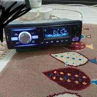 ضبط