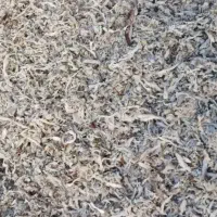 تفاله چغندر
