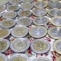 سکه|کلکسیون سکه، تمبر، اسکناس|اصفهان, خانه اصفهان|دیوار
