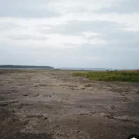فروش 10قصب زمین مسکونی پشت لر