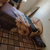 سویت سوییت سوئیت کیانپارس|اجارهٔ کوتاه‌مدت آپارتمان و سوئیت|اهواز, کیانپارس |دیوار