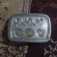 عروس هلندی کوتوله مرغ عشق|پرنده|مشهد, سپاد|دیوار